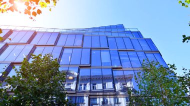 Etrafı yeşil ağaçlarla çevrili cam ofis binası. Çevre dostu ofis binası. Şehrin sürdürülebilir mimarisi ısı karbondioksit azaltıyor modern şehir çevresi.