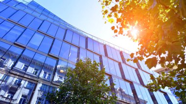 Etrafı yeşil ağaçlarla çevrili cam ofis binası. Çevre dostu ofis binası. Şehrin sürdürülebilir mimarisi ısı karbondioksit azaltıyor modern şehir çevresi.