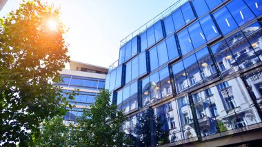 Etrafı yeşil ağaçlarla çevrili cam ofis binası. Çevre dostu ofis binası. Şehrin sürdürülebilir mimarisi ısı karbondioksit azaltıyor modern şehir çevresi.