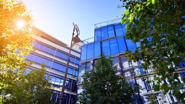 Etrafı yeşil ağaçlarla çevrili cam ofis binası. Çevre dostu ofis binası. Şehrin sürdürülebilir mimarisi ısı karbondioksit azaltıyor modern şehir çevresi.