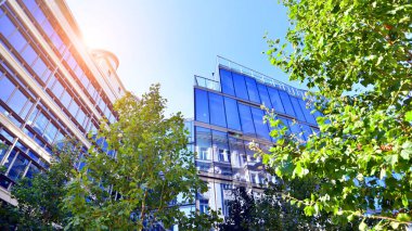 Etrafı yeşil ağaçlarla çevrili cam ofis binası. Çevre dostu ofis binası. Şehrin sürdürülebilir mimarisi ısı karbondioksit azaltıyor modern şehir çevresi.