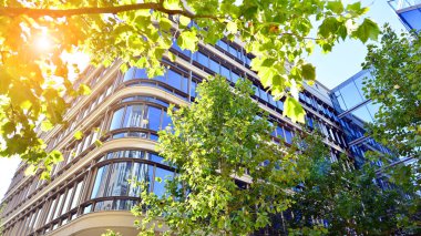 Etrafı yeşil ağaçlarla çevrili cam ofis binası. Çevre dostu ofis binası. Şehrin sürdürülebilir mimarisi ısı karbondioksit azaltıyor modern şehir çevresi.