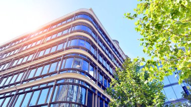 Etrafı yeşil ağaçlarla çevrili cam ofis binası. Çevre dostu ofis binası. Şehrin sürdürülebilir mimarisi ısı karbondioksit azaltıyor modern şehir çevresi.