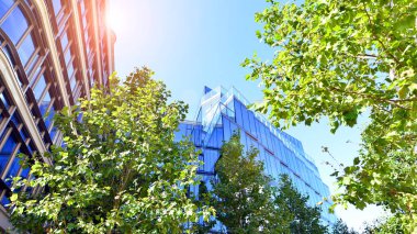 Etrafı yeşil ağaçlarla çevrili cam ofis binası. Çevre dostu ofis binası. Şehrin sürdürülebilir mimarisi ısı karbondioksit azaltıyor modern şehir çevresi.