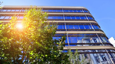 Etrafı yeşil ağaçlarla çevrili cam ofis binası. Çevre dostu ofis binası. Şehrin sürdürülebilir mimarisi ısı karbondioksit azaltıyor modern şehir çevresi.