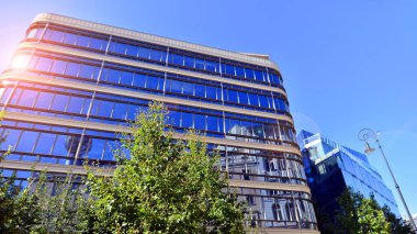 Etrafı yeşil ağaçlarla çevrili cam ofis binası. Çevre dostu ofis binası. Şehrin sürdürülebilir mimarisi ısı karbondioksit azaltıyor modern şehir çevresi.