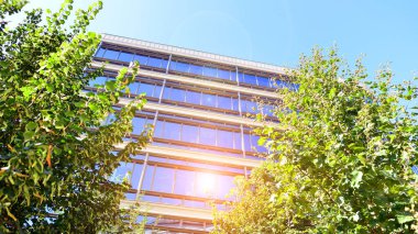 Etrafı yeşil ağaçlarla çevrili cam ofis binası. Çevre dostu ofis binası. Şehrin sürdürülebilir mimarisi ısı karbondioksit azaltıyor modern şehir çevresi.