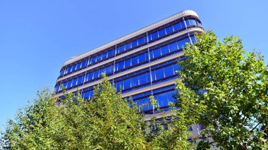 Etrafı yeşil ağaçlarla çevrili cam ofis binası. Çevre dostu ofis binası. Şehrin sürdürülebilir mimarisi ısı karbondioksit azaltıyor modern şehir çevresi.
