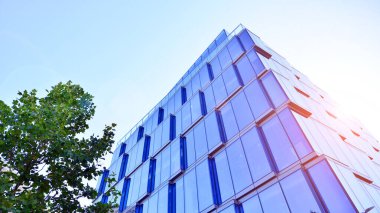 Etrafı yeşil ağaçlarla çevrili cam ofis binası. Çevre dostu ofis binası. Şehrin sürdürülebilir mimarisi ısı karbondioksit azaltıyor modern şehir çevresi.