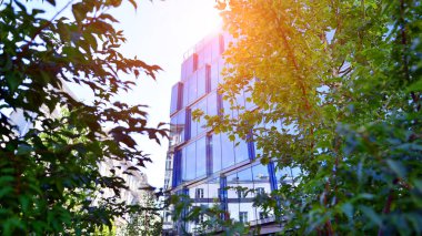 Etrafı yeşil ağaçlarla çevrili cam ofis binası. Çevre dostu ofis binası. Şehrin sürdürülebilir mimarisi ısı karbondioksit azaltıyor modern şehir çevresi.