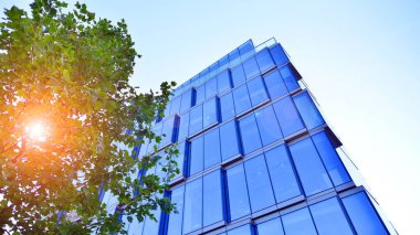 Etrafı yeşil ağaçlarla çevrili cam ofis binası. Çevre dostu ofis binası. Şehrin sürdürülebilir mimarisi ısı karbondioksit azaltıyor modern şehir çevresi.