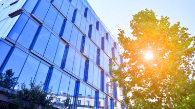 Etrafı yeşil ağaçlarla çevrili cam ofis binası. Çevre dostu ofis binası. Şehrin sürdürülebilir mimarisi ısı karbondioksit azaltıyor modern şehir çevresi.