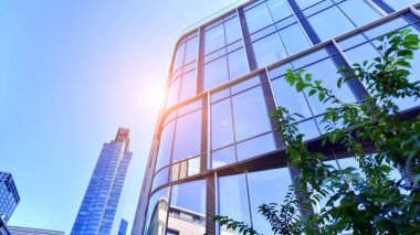 Etrafı yeşil ağaçlarla çevrili cam ofis binası. Çevre dostu ofis binası. Şehrin sürdürülebilir mimarisi ısı karbondioksit azaltıyor modern şehir çevresi.