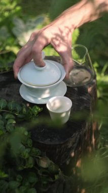 Geleneksel bir Çin çay seremonisi sırasında bir gaivandan bir chahai 'ye çay dökmek.