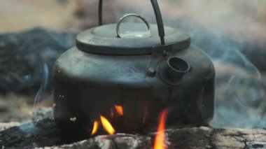 Ateşin üstünde çaydanlık. Eski bir çaydanlık. Yaz ormanındaki bir turist kampında çok güzel bir kamp ateşi. Ormanda hayatta kalmak..