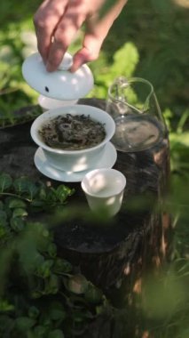 Cam çaydanlıktan dökülen çayın yakın çekimi, canlı yeşil yapraklarla çevrili, tahta bir kütüğe konmuş beyaz bir çay fincanına dökülüyor..