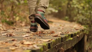 Ormanda düşen sonbahar yapraklarıyla kaplı ahşap bir yolda yürüyen bir yürüyüşçü..
