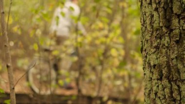 Odak Noktasında Ağaç Kabuğunun Yakınlaştırılması Ormandaki Motorcunun Bulanık Arkaplanı