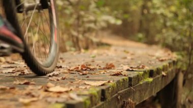 Bisiklet, sonbahar yapraklarıyla çevrili ormanda tahta bir patikadan geçiyor..