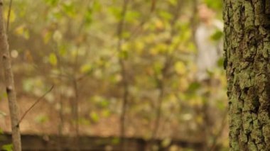 Sonbahar ormanındaki ağaç kabuğunun detaylı görüntüsü. Arka planda bulanık bir insan orman yolunda yürüyor..