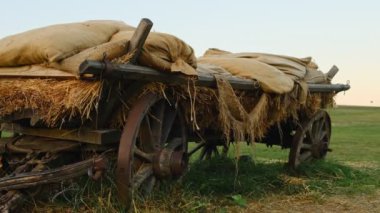 Çuval çuval ve saman dolu eski ahşap araba bir tarlada duruyor, kırsal yaşam ve geleneksel tarım duygusunu çağrıştırıyor..