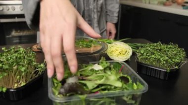 Mutfakta sağlıklı vejetaryen yemekleri hazırlarken roka ve ıspanak salatası yapraklarını kaseye atan elin yakın çekimi..