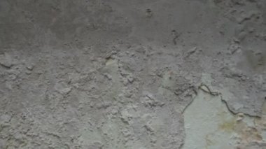 Kamera, küf ve mantardan zarar görmüş bir duvardan uzaklaşırken yakın çekim video görüntüsü. Ev onarımı kavramını ve güvenli yaşam için acil konut sorunlarını ele alma ihtiyacını vurguluyor.