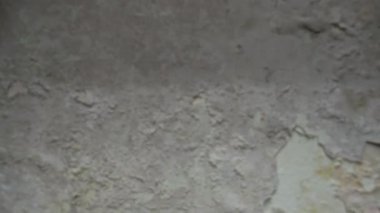 Küf ve mantardan zarar görmüş bir duvara yakınlaşan bir kamerayla yakın çekim görüntüsü. Ev onarımı kavramını ve güvenli yaşam için acil konut sorunlarını ele alma ihtiyacını temsil eder.