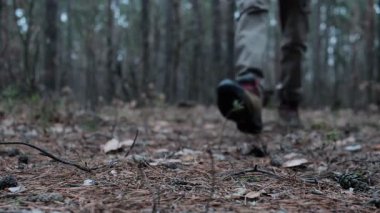  Ormanda yürüyüş. Forest Park 'ta turist ayakkabıları. Tatildeki maceracı turist. Forest Park 'ta turist bacakları. Gezinti. Yüksek kalite 4k görüntü