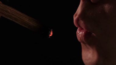 Yanan bir Palo Santo çubuğu kutsal duman yayar. Bir erkek nazikçe üfler, arınmayı, rahatlamayı ve ruhsal toprakları simgeler.