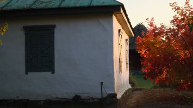 Gün batımında Ukrayna 'nın bir köyündeki ağaçların arasından süzülen güneş ışığı sıcak ve huzurlu bir kırsal ortam yaratıyor..