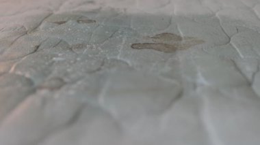 Görünür siyah noktalar ve nem damlacıkları ile derin temizlemeden önce lekeli yatak yüzeyinin yakın plan görüntüsü
