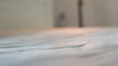 Evdeki profesyonel şilte temizliği. Fırça ve sprey yakın çekim kumaş sert lekeleri kaldırır. Temizlik, temizlik servisi reklamları ve metin yerleştirme için ideal.