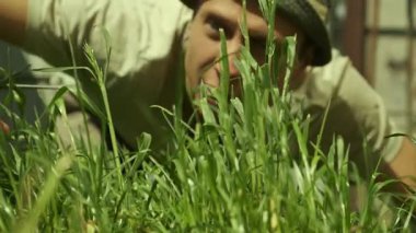 Çimleri biçmek için elinde makasla eğilen bir adam, mizahi, abartılı bir bahçe sahnesinde mükemmel bahçe bakımıyla ilgili takıntıları parodiliyor.