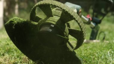 Elektrikli budayıcının yakın çekimi çimenlerin üzerinde dinleniyor, çimen kesikleri sıkışmış, tamamlanmış bahçe işlerini sembolize ediyor.