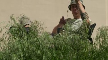 Adam arka bahçede uzun otları çekiyor ve biçmeden önce uzunluğunu kontrol ediyor. Şapkalı adam güneşli arka bahçedeki fazla büyümüş çimenleri elle inceliyor.