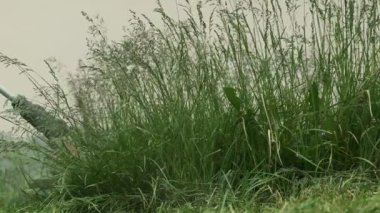 Ot, ip budama makinesiyle yavaş çekimde kesilir. Ev dekorasyonu ve bahçe işleri.