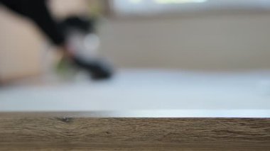 Evdeki derin yatak temizliğinin gerçekçi görüntüleri. Bir kadın kumaştaki lekeleri çıkarmak için fırça ve sprey kullanıyor. Kişinin yüzü ticari kullanım için bulanık. Ev hijyeni kavramları, reklamcılık ve metin örtüsü için mükemmel..