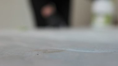 Evde profesyonelce temizlenen şilte kumaşına odaklı görünür bir lekenin yakın çekimi. Fırçala ve püskürt. Toprağı temizle. Hijyen, temizlik reklamları ve metin kaplama kullanımı için mükemmel.