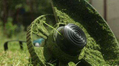 Elektrikli budayıcının yakın çekimi çimenlerin üzerinde dinleniyor, çimen kesikleri sıkışmış, tamamlanmış bahçe işlerini sembolize ediyor.