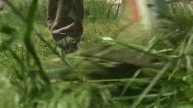 Bahçe bakımı. Arka bahçedeki çimenleri biçen çim biçme makinesi..