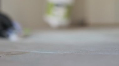 Evdeki profesyonel şilte temizliği. Fırça ve sprey yakın çekim kumaş sert lekeleri kaldırır. Temizlik, temizlik servisi reklamları ve metin yerleştirme için ideal.