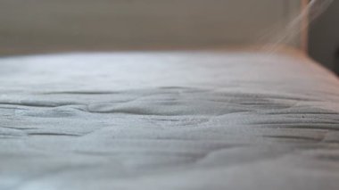 Evdeki profesyonel şilte temizliği. Fırça ve sprey yakın çekim kumaş sert lekeleri kaldırır. Temizlik, temizlik servisi reklamları ve metin yerleştirme için ideal.