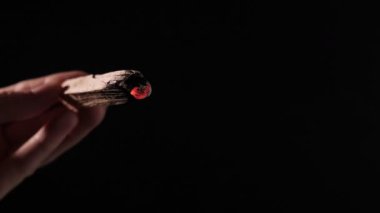 Yanan bir Palo Santo 'yu tutan bir el havaya süzülen kutsal duman gibi, manevi temizliği, meditasyonu ve enerjik arındırmayı simgeliyor.