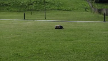 Robot çim biçme makinesi yerleşim alanında çalışıyor. Otomatik çim biçme ve zahmetsiz çim bakımı için modern akıllı aygıt.