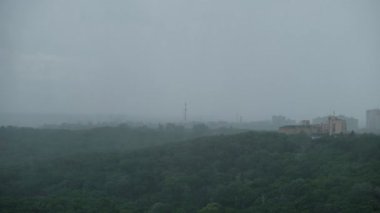 Yazın yoğun yeşil ormanın üzerine şiddetli yağmur yağar. Gri gökyüzü ve uzak sisli karamsar hava manzarası.