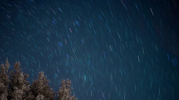 Yıldızlar Bir Kutup Yıldızının Etrafında Döner Gece Gökyüzünde Yıldız Zaman — Stok video