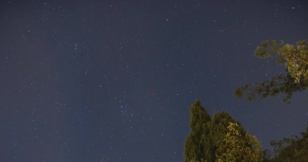 Csillagok Egy Sarki Csillag Körül Mozognak Csillagösvények Időkiesése Éjszakai Égbolton — Stock videók