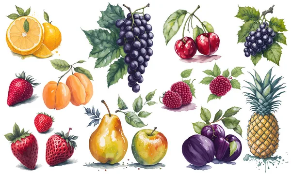Πολύχρωμο Υδατογραφία Συλλογή Από Φρέσκα Φρούτα Εικονογράφηση Διανύσματος — Διανυσματικό Αρχείο