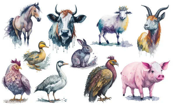 Sbírka Akvarelů Pro Hospodářská Zvířata Vektorová Ilustrace — Stockový vektor